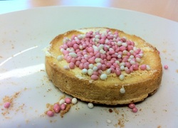 Normal_kraamzorg_beschuit_met_muisjes_roze_geboorte